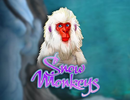 Snow Monkeys